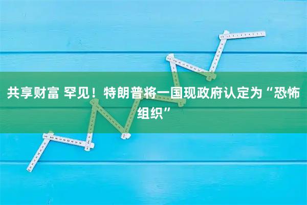 共享财富 罕见！特朗普将一国现政府认定为“恐怖组织”