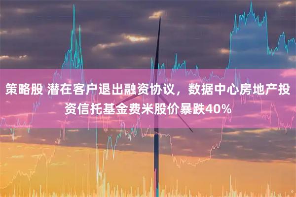 策略股 潜在客户退出融资协议，数据中心房地产投资信托基金费米股价暴跌40%
