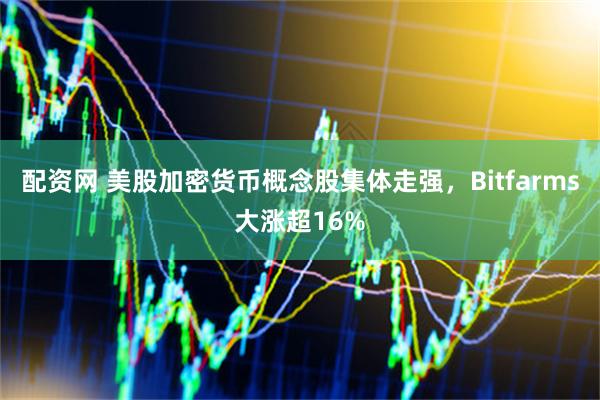 配资网 美股加密货币概念股集体走强，Bitfarms大涨超16%